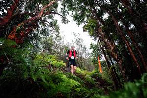 BIB: 
                            <button type="button" onclick="openModal(26202945)" class="btn btn-primary btn-sm float-right btn-popup" data-toggle="modal" data-target=".modal-high-quality">
                        <i class="fas fa-shopping-cart"></i> Add to Cart
                    </button>
                                            <button type="button" onclick="isThisMe(26202945, true)" class="btn btn-success btn-sm float-right btn-popup btn-isme hidden" data-toggle="tooltip" data-placement="bottom" title="นี่คือรูปของคุณใช่ไหม คลิกที่นี่เพื่อเอาเข้าอัลบั้ม">
                        <i class="fas fa-plus"></i> Add to album
                    </button>
                    <button type="button" onclick="isThisMe(26202945, false)" class="btn btn-warning btn-sm float-right btn-popup btn-isnotme hidden">
                        <i class="fas fa-ban"></i> Remove from album
                    </button>